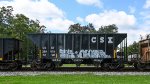 CSX 290079